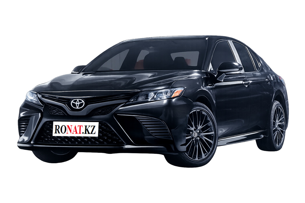 Филиал RONAT.KZ в Туркестане